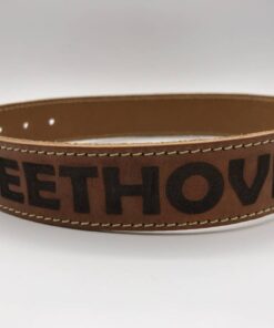 Hondenhalsband met naam | Cognac