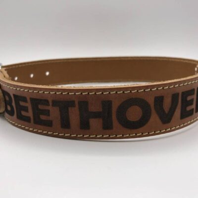 Hondenhalsband met naam | Cognac