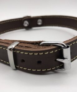 Hondenhalsband met riem en naam | Bruin