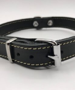 Hondenhalsband met riem en naam | Zwart