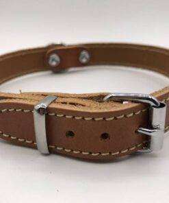 Hondenhalsband met riem en naam | Cognac