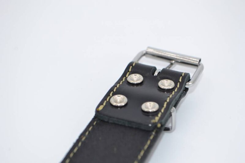 Hondenhalsband met naam | Zwart - Afbeelding 6