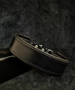 "Stylish" 2 inch brede hondenhalsband