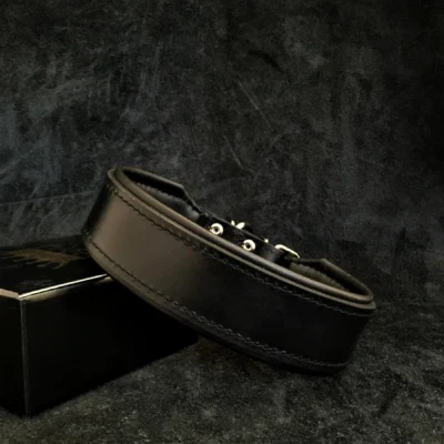 "Stylish" 2 inch brede hondenhalsband