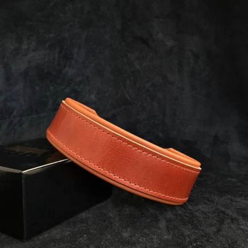 "Stylish" 2 inch brede hondenhalsband - Afbeelding 2