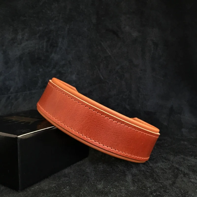 "Stylish" 2 inch brede hondenhalsband - Afbeelding 2
