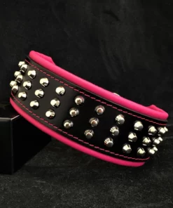 De “Stud” hondenhalsband