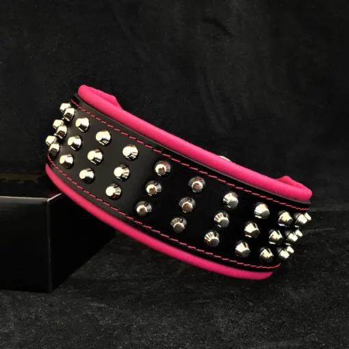 De “Stud” hondenhalsband