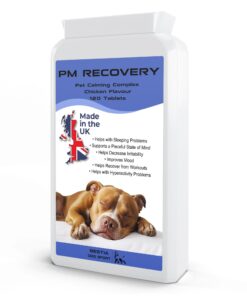 Bestia Dog Sport PM Recovery