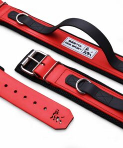 BESTIA DOG SPORT HANDLE COLLAR RED