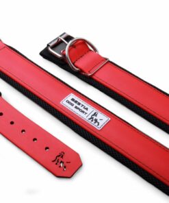 BESTIA DOG SPORT COLLAR RED