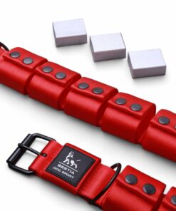 Weighted dog training collar- Red. Large breeds. 5 lbs total. removable weights