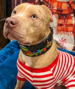 The Grinch Limited Collar - Afbeelding 6