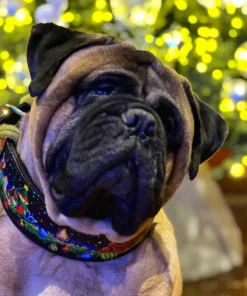 The Grinch Limited Collar - Afbeelding 3