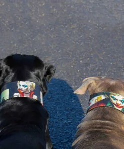 Alternative view of The Joker Limited Collar
