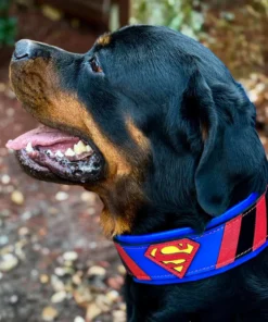 Alternative view of ''Superman'' collar