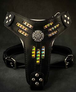 The Atlantis Harness