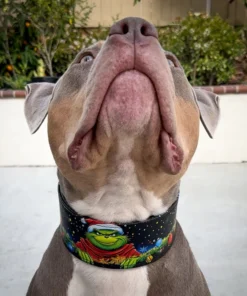 The Grinch Limited Collar - Afbeelding 7