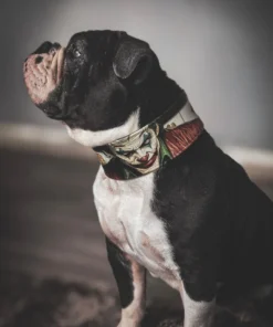 The Joker Limited Collar - Afbeelding 4