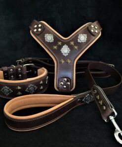 "AZTEC" BIG dog SET - Harness - collar - lead. Brown
