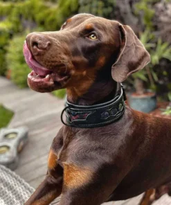 Alternative view of ''BATMAN'' collar