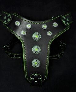 ''Bijou'' harness Black & Green for big dogs