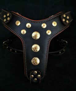 ''Bijou'' harness Black & Orange for big dogs