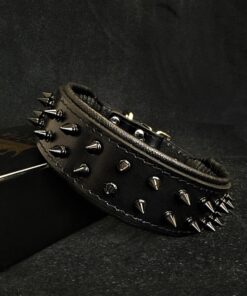 BLACK "Frenchie" collar