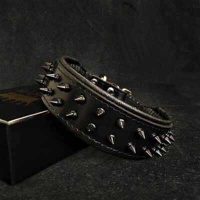 BLACK "Frenchie" collar