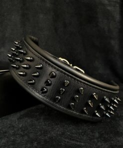 ''Black Giant'' collar