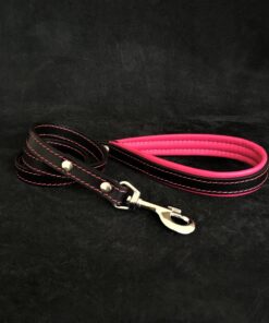 Black leather leash