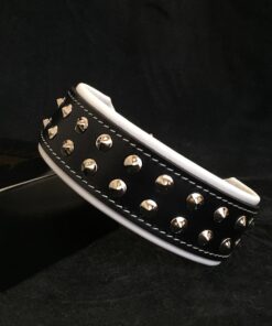 "Boston" collar