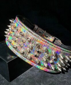 ''Chameleon'' LIMITED big dog collar