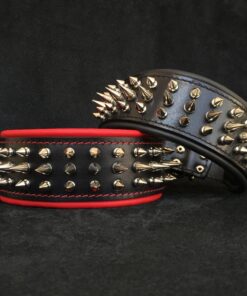 "Danger" collar