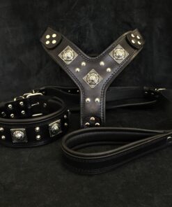 "EROS" BIG dog SET- Harness - collar - lead. All Black