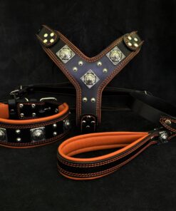 "EROS" BIG dog SET- Harness - collar - lead. Black & Orange