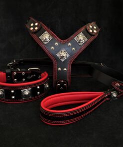 "EROS" BIG dog SET- Harness - collar - lead. Black & Red