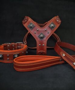 "EROS" BIG dog SET- Harness - collar - lead. Brown & Orange