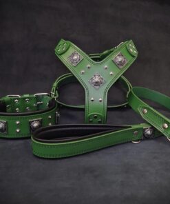 "EROS" BIG dog SET- Harness - collar - lead. Green