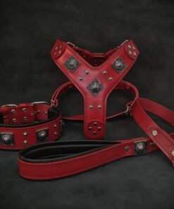 "EROS" BIG dog SET- Harness - collar - lead. Red