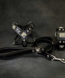 "EROS" Small to Medium dog SET - Harness - collar - lead. All Black