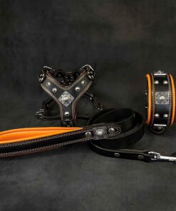 "EROS" Small to Medium dog SET - Harness - collar - lead Black&Orange