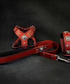"EROS" Small to Medium dog SET - Harness - collar - lead. Red
