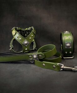 "EROS" Small to Medium dog SET - Harness - collar - lead. Green