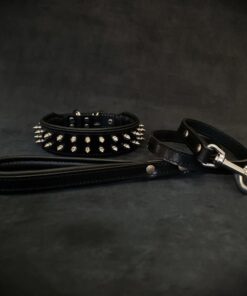 "Frenchie" Set- collar & leash. Black
