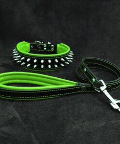 "Frenchie" Set- collar & leash. Green