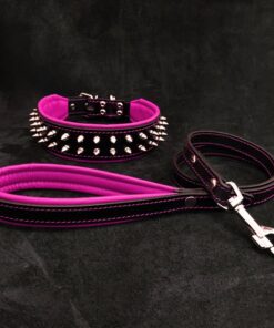 "Frenchie" Set- collar & leash. Pink