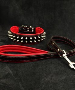 "Frenchie" Set- collar & leash. Red