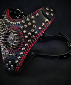 Handstitched "David" harness