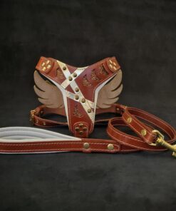 "Hermes" Set- harness & leash